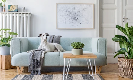 shutterstock_1591097467