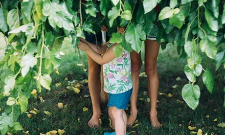 shelly-pence-HIcBZ4ali90-unsplash