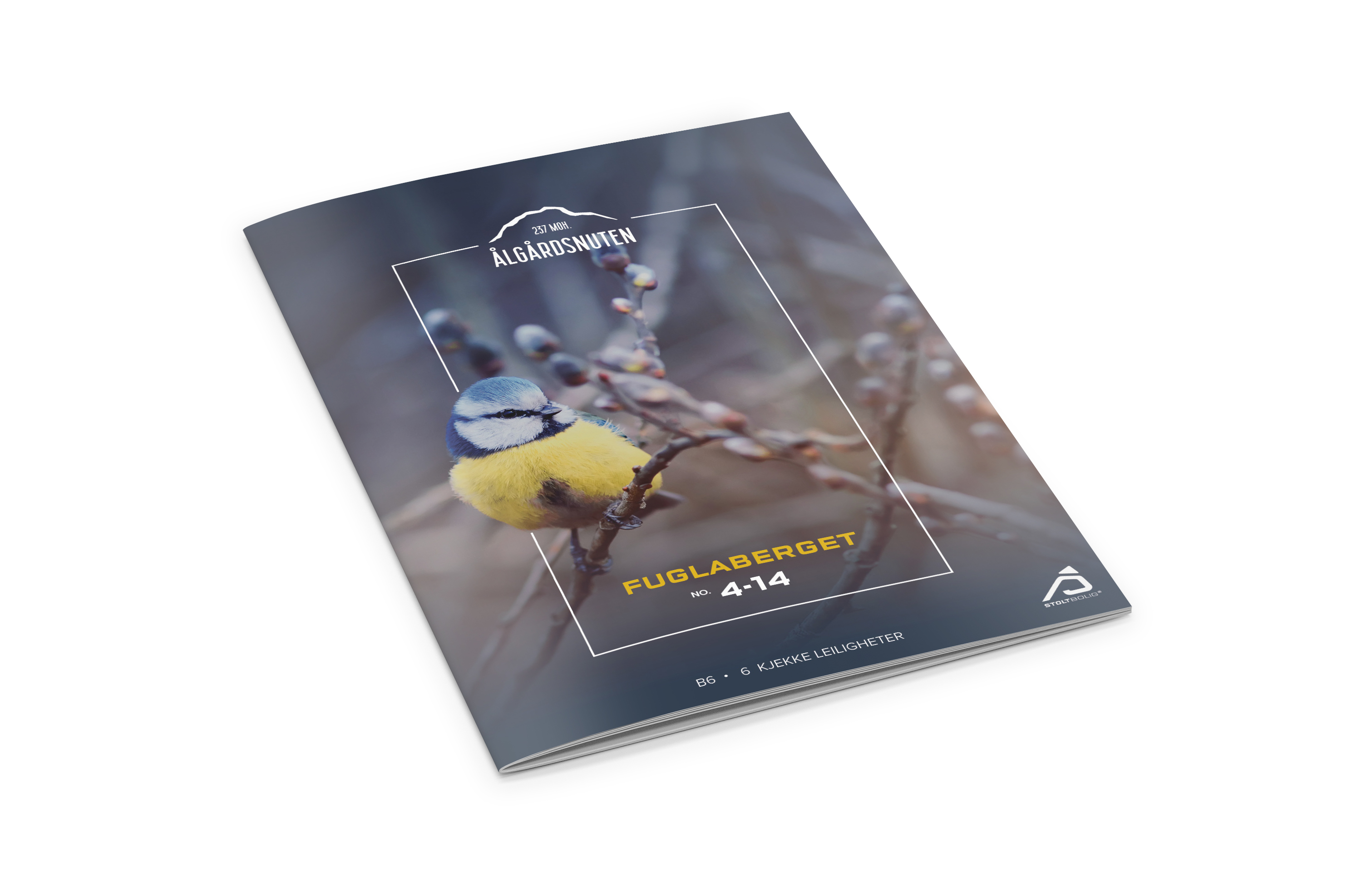 Mockup_Prospekt%20B6-leiligheter