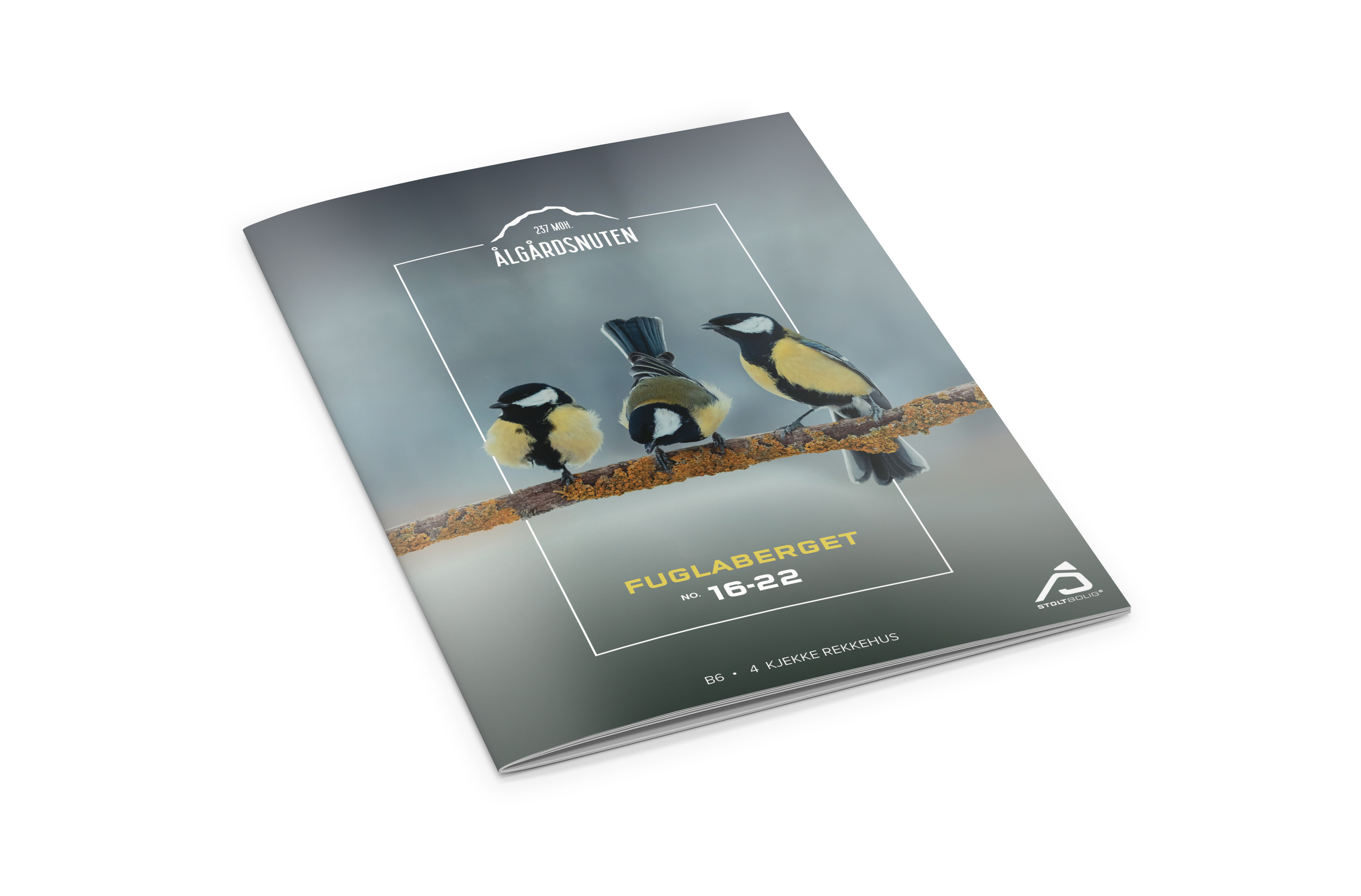 Mockup_Prospekt%20B6-rekkehus