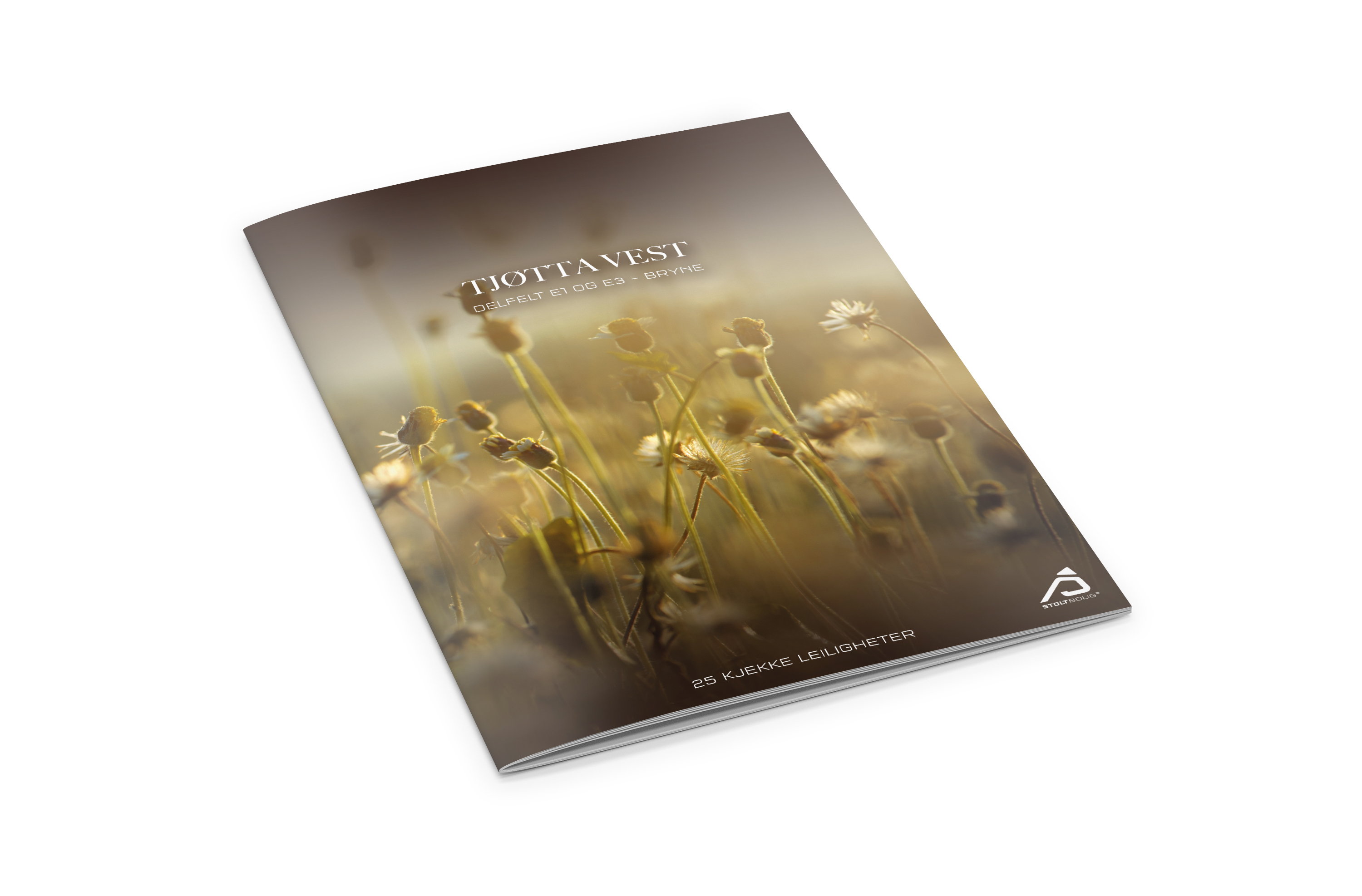 Mockup_ProspektE1-E3%401x_1