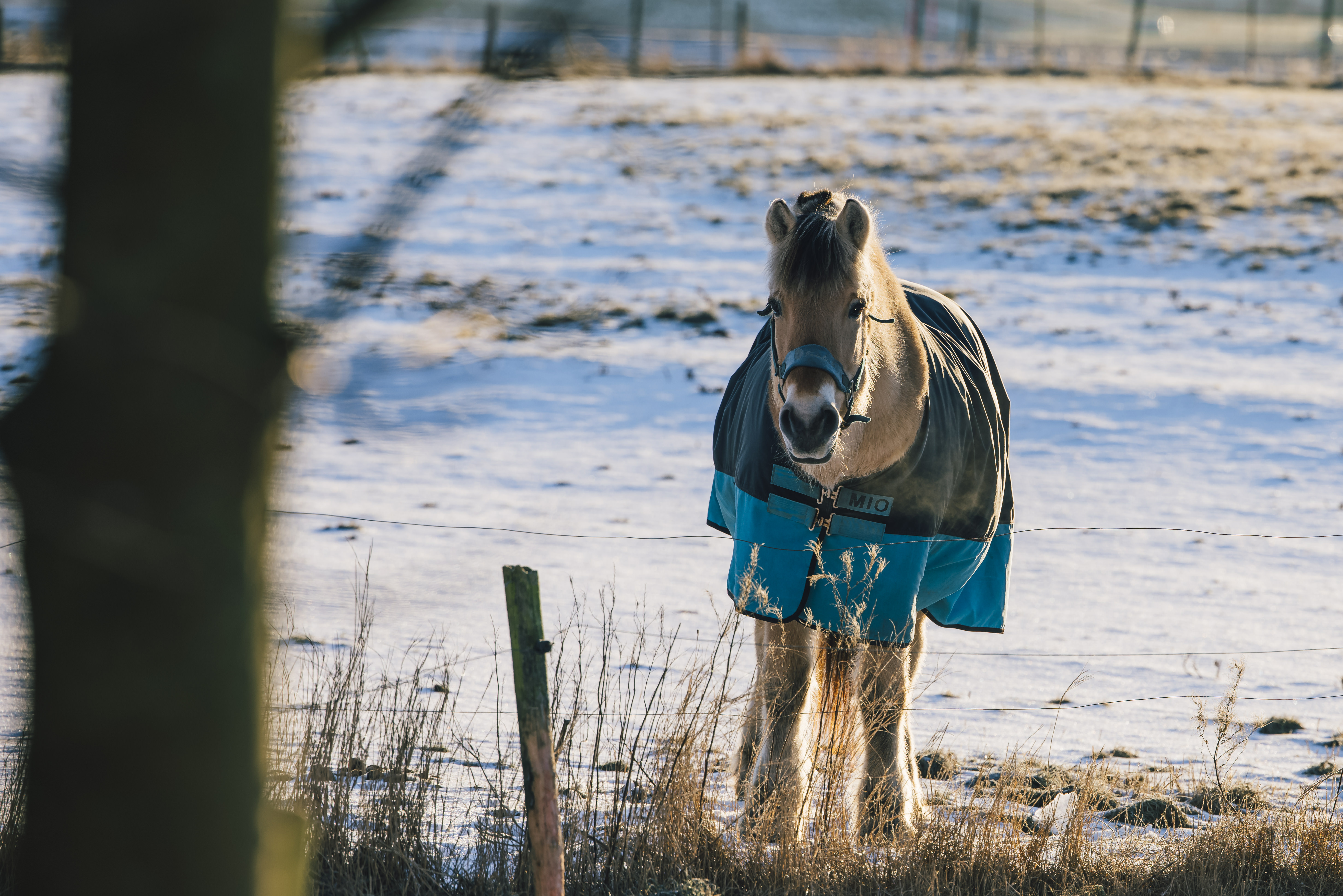 Stolt%20Bolig_Nybygg_Artikkel_16